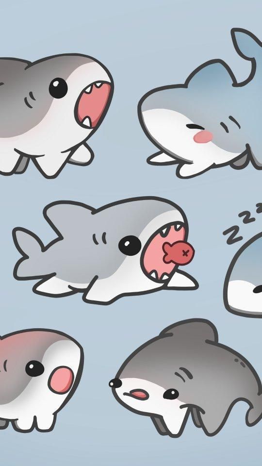 which shark are you