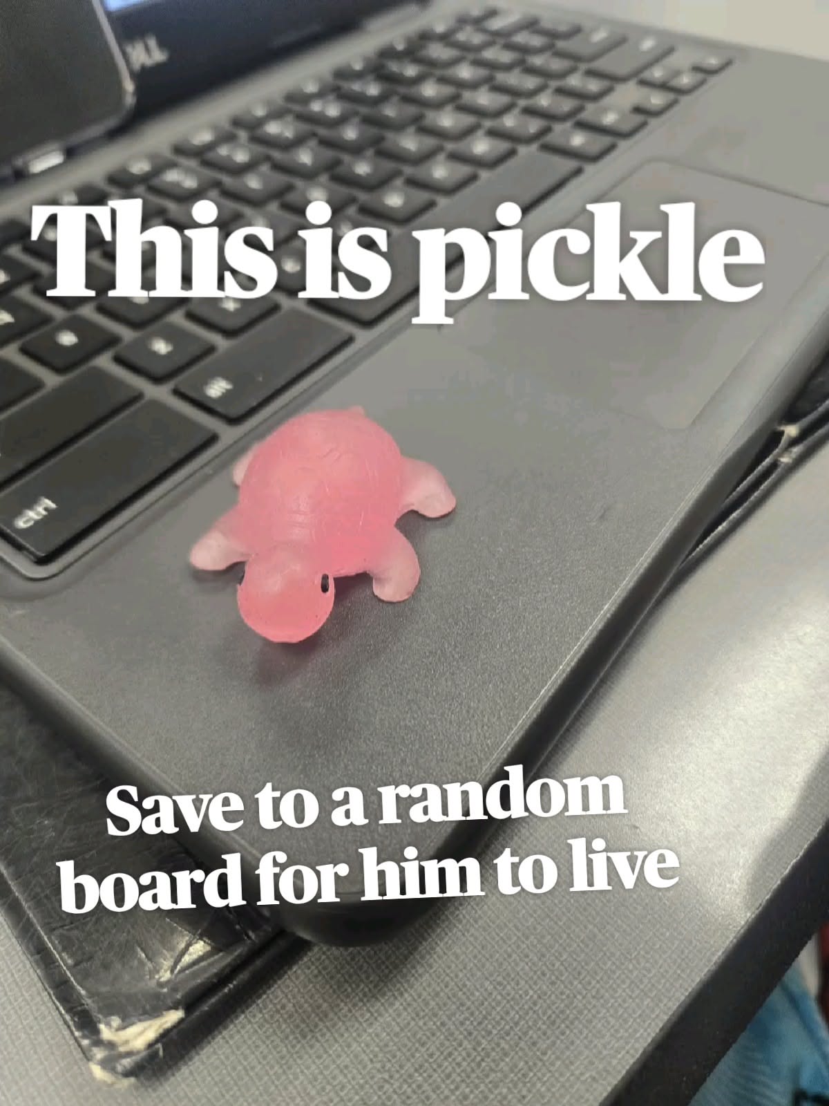 random websites to save